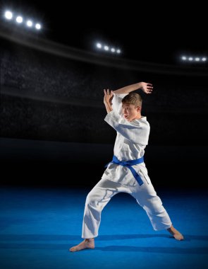 Çocuk dövüş sanatları savaşçı