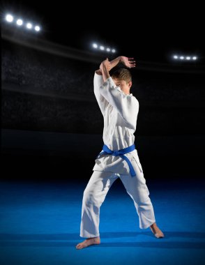 Çocuk dövüş sanatları savaşçı