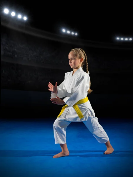 Kız dövüş sanatları savaşçı — Stok fotoğraf