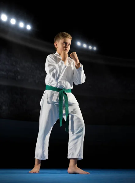 Boy martial arts fighter — Stock Photo, Image