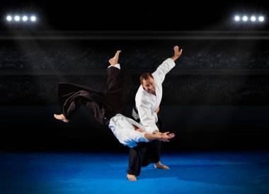 Martal sanat savaşçıları