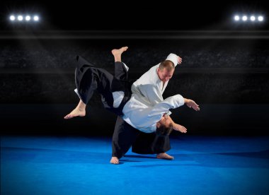 Dövüş sanatları savaşçı