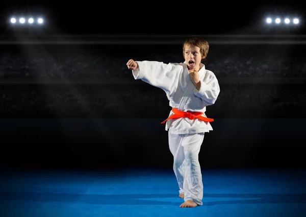 Little boy martial arts fighter — Stock Photo, Image