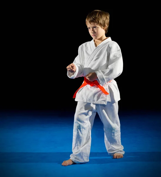 Malý chlapec bojových umění bojovník — Stock fotografie