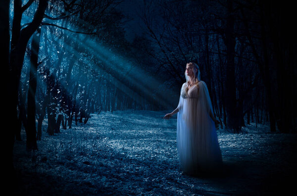 Elven girl in night forest