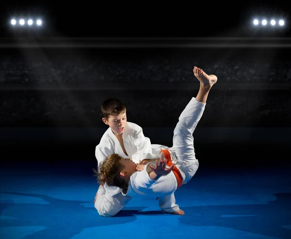 Niños luchadores de artes marciales — Foto de Stock