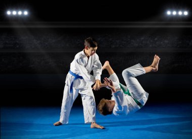 Two boys martial arts fighters clipart