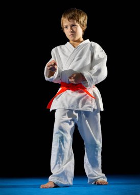 Çocuk dövüş sanatları savaşçı