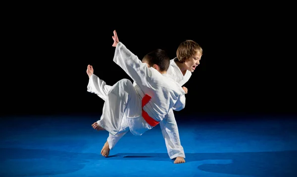 Meninos lutadores de artes marciais — Fotografia de Stock