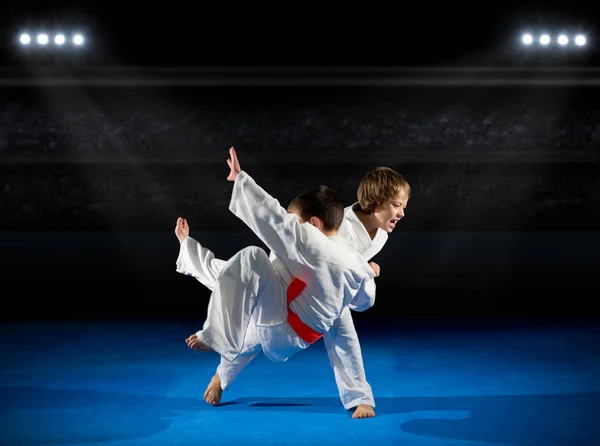 Meninos lutadores de artes marciais — Fotografia de Stock