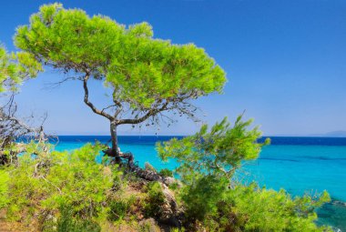 deniz kıyısı mavi gökyüzü altında