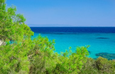 deniz kıyısı mavi gökyüzü altında