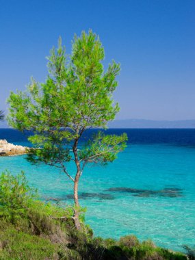 Deniz kıyısında açık gökyüzü altında