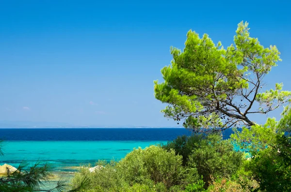 Riva del mare sotto il cielo limpido — Foto Stock