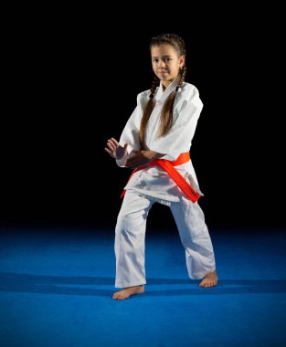 Kız dövüş sanatları savaşçı