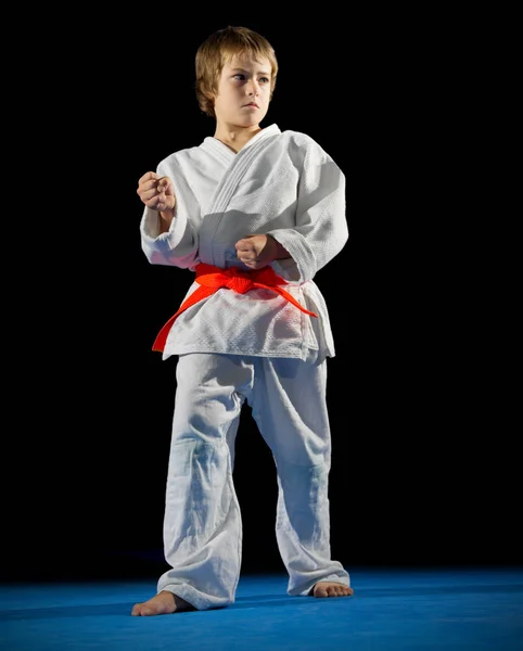 Niño luchador de artes marciales —  Fotos de Stock