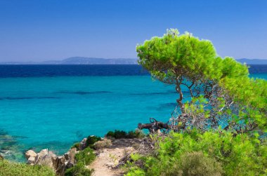 Deniz kıyısında açık gökyüzü altında