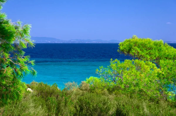 Sea shore under clear sky — Stock Photo, Image