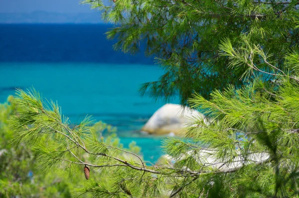 Sea shore under clear sky — Stock Photo, Image