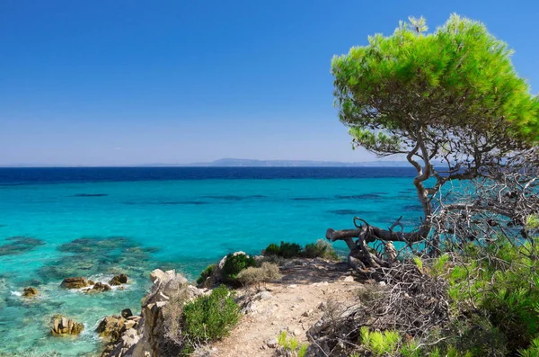 Riva del mare sotto il cielo limpido — Foto Stock