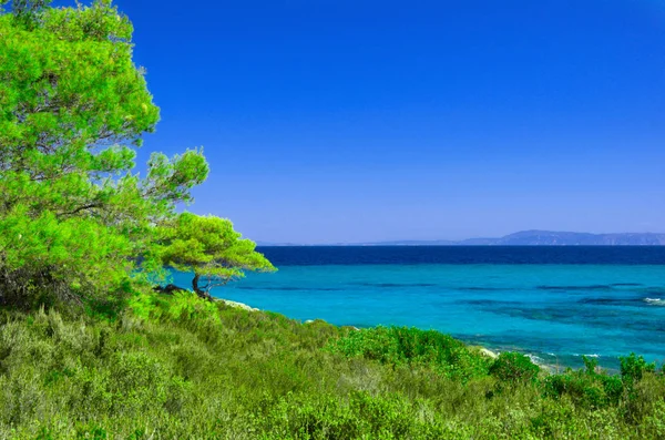 Riva del mare sotto il cielo limpido — Foto Stock