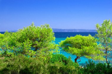 Deniz kıyısında açık gökyüzü altında