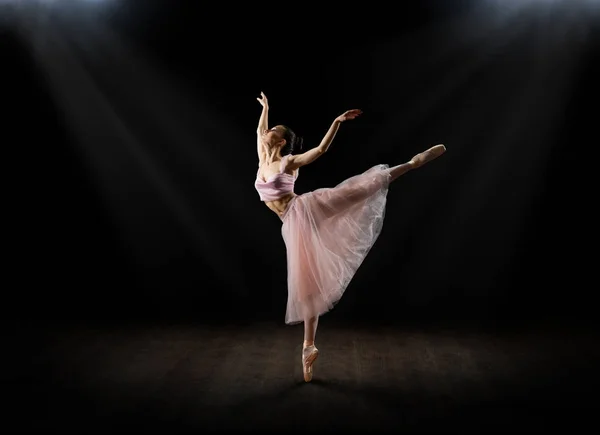 Балерина (в версии для интерьера ) — стоковое фото