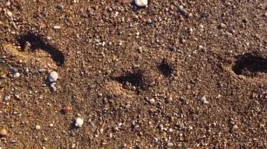 huellas sobre la arena mojada