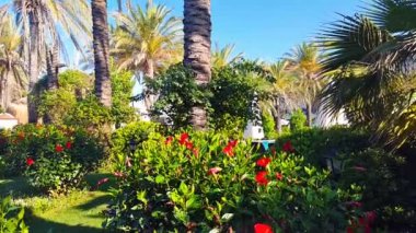 Otel tropikal avlu