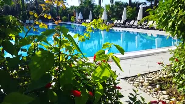 Tropische Hotel Werf Zomer — Stockvideo