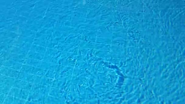 Yüzme Havuzunda — Stok video