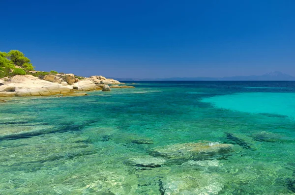 夏の海の海岸 — ストック写真