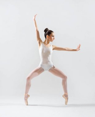 Balerin (üstünde gri yorum)