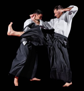 Dövüş sanatları savaşçı izole