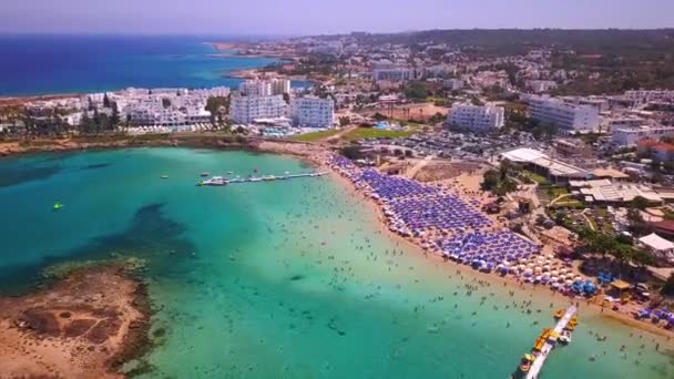 Fig Árvore Praia Protaras Chipre — Vídeo de Stock