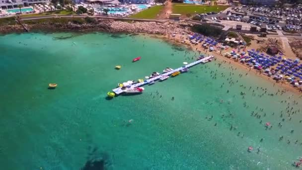 Fig Tree Protaras Cyprus Aerial — Stock Video