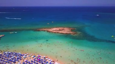 İncir ağacı Protaras Kıbrıs havadan 4k