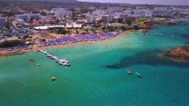 İncir ağacı Protar anten 4k