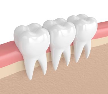 diş diş etleri içinde 3D render