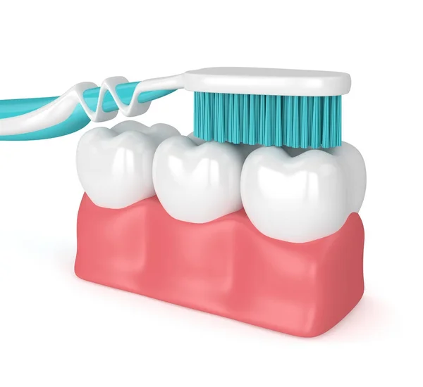 3d renderizado de dientes en encías — Foto de Stock