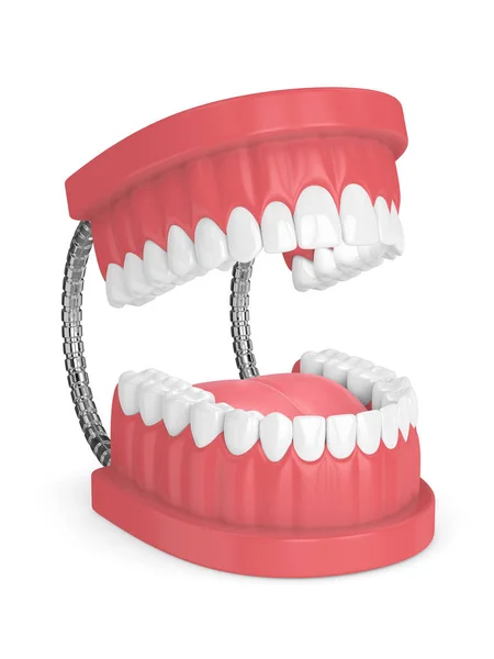 Rendering 3d del modello mascella con denti sopra bianco — Foto Stock