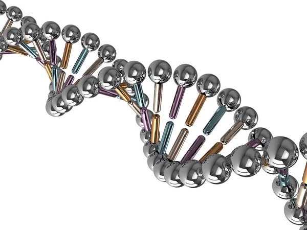 흰색 위에 Dna 체인의 3d 렌더링 — 스톡 사진