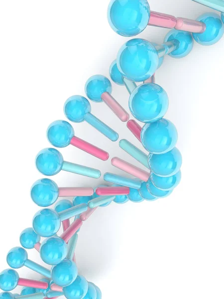3D рендеринг цепочки ДНК поверх белого — стоковое фото