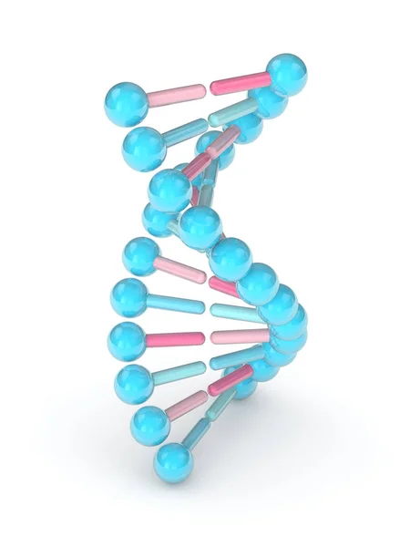 흰색 위에 Dna 체인의 3d 렌더링 — 스톡 사진