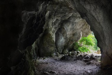 Polonya Tatra Dağları 'ndaki Jaskinia Oblazkowa mağarasına giriş