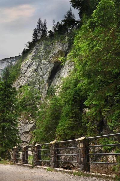 ポーランドのタトラ山脈の谷Dolina Koscieliskaを通る道 — ストック写真