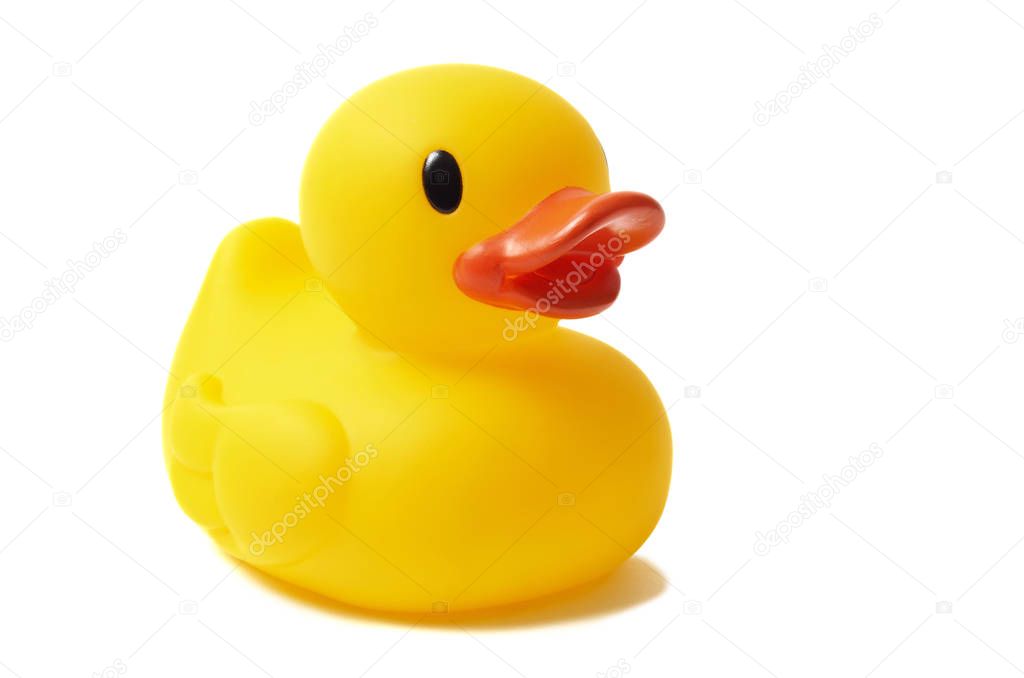 Rubber duck on white