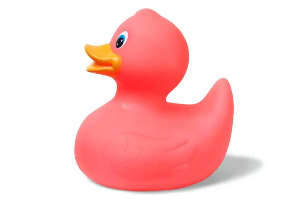 Pink rubber duck — Stock Photo, Image