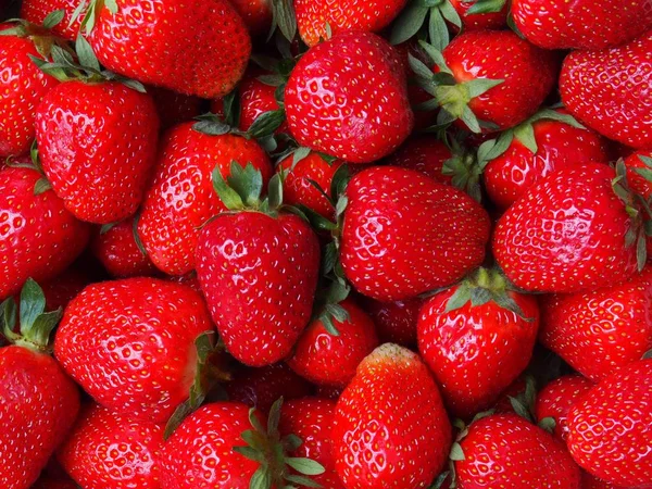 Macro of strawberries — Stock Photo, Image