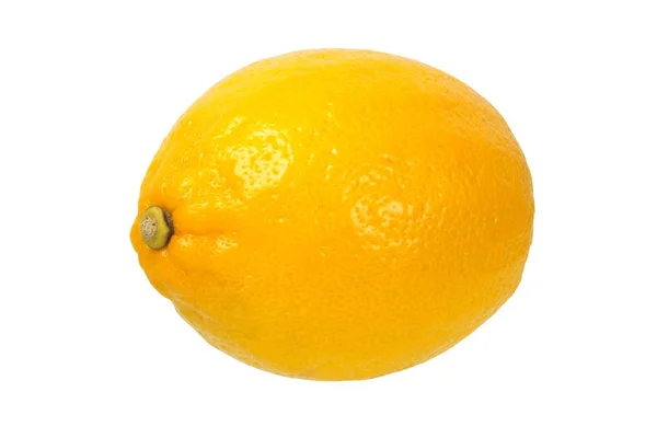 Citron på vit — Stockfoto